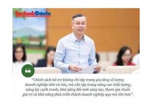 [Insight] Chính sách hỗ trợ phải giúp doanh nghiệp nhỏ và vừa nâng chất, tăng sức cạnh tranh