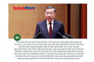 [Insight] Kế hoạch một, biện pháp mười, quyết tâm hai mươi