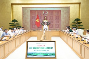 Phát triển lâm nghiệp phải gắn với sinh kế người dân và bảo vệ môi trường