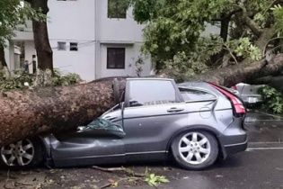 Tranh luận nảy lửa về từ “Cơn dông” hay “cơn giông”?
