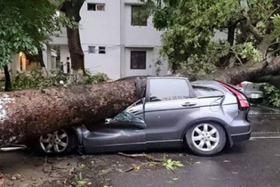 4,65 tỷ đồng bồi thường xe sang sau trận siêu giông