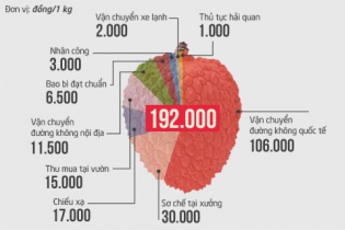 Tại sao vải thiều Việt Nam khó cạnh tranh với Trung Quốc trên đất Mỹ?