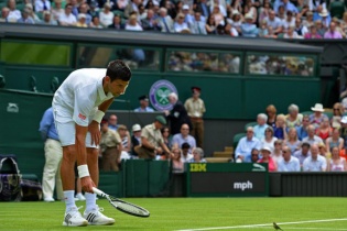 Khoảnh khắc thú vị chim sẻ sà xuống sân xem Djokovic thi đấu