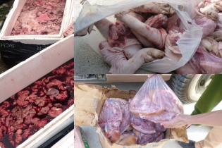 Bợm nhậu vỉa hè không sợ nội tạng bẩn, chân gà thối