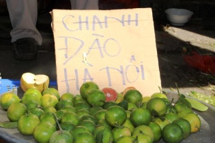 Sài Gòn: Tiểu thương buôn chanh đào kiếm tiền triệu mỗi ngày