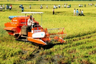 Tái cơ cấu ngành nông nghiệp: Chậm là thua