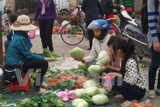 Sở Giáo dục và Đào tạo Hà Nội lên tiếng vụ tuồn rau bẩn vào trường học