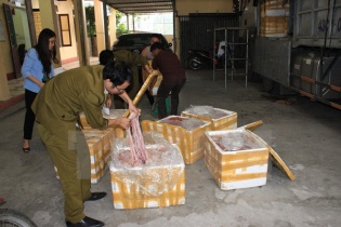 Quảng Ninh: Phát hiện hơn 2,5 tấn nội tạng không nguồn gốc, đã bốc mùi