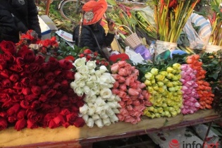 Hoa hồng tăng giá mạnh vào lễ Valentine
