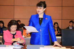 Đại biểu Quốc hội là doanh nhân: Cần tiếng nói đa chiều, khách quan