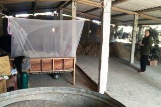 Đa cấp Liên kết Việt "càn quét" làng quê, nhiều gia đình điêu đứng