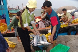 Quảng Bình mở điểm bán hải sản tươi sống an toàn