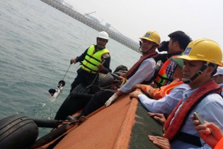 Chuyên gia Mỹ, Đức bắt đầu tìm nguyên nhân cá biển chết hàng loạt    