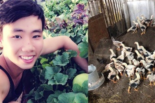 Chàng trai 9X Hà thành gây dựng "trang trại" thu nhỏ trên sân thượng