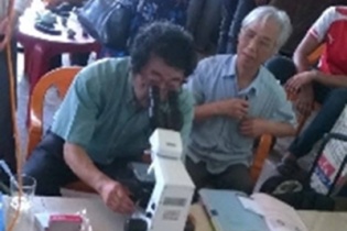 Chuyên gia quốc tế căng mình tìm nguyên nhân cá chết hàng loạt