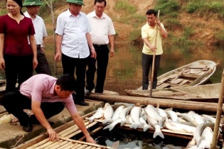 Công an Thanh Hoá điều tra vụ nước sông đổi màu, cá chết
