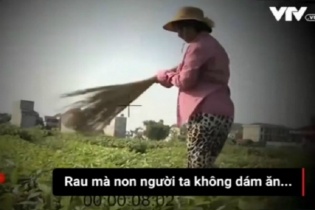 VTV xin lỗi và đình chỉ phóng viên dàn dựng clip "Dùng chổi quét rau"