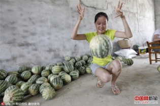 Dưa hấu Trung Quốc nảy như bóng cao su khi ném