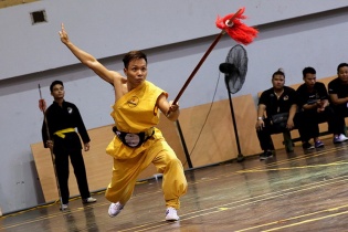 Những màn võ thuật mãn nhãn tại Hội diễn Võ cổ truyền Hà Nội mở rộng