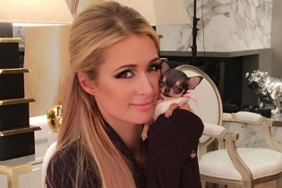 Paris Hilton khoe cún cưng 8.000 USD