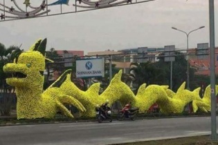 Giám đốc nổi nóng khi rồng lạ Hải Phòng bị chê không đẹp
