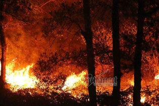 Cháy rừng phòng hộ Sóc Sơn lớn nhất trong lịch sử