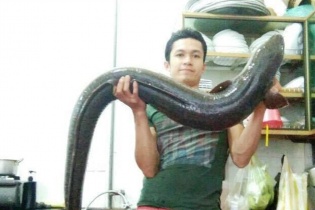 Người dân bắt được cá lệch "khủng" dài 1,7 mét 