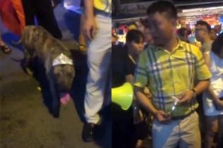 Đã xác định danh tính người đàn ông dẫn chó dữ đi vào phố Hàng Mã, gây bức xúc dư luận