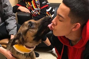 Trúng 3 phát đạn, chó vẫn xả thân tấn công trộm, bảo vệ chủ