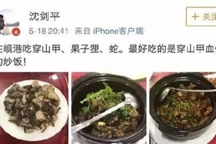Ăn nhậu động vật quý hiếm tại Việt Nam, một lãnh đạo doanh nghiệp của Trung Quốc bị sa thải