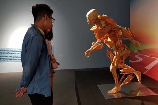 Bộ Văn hóa yêu cầu báo cáo về triển lãm cơ thể người