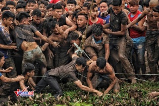 Hội Phết Hiền Quan 2019 bị dừng tổ chức vì tái diễn cảnh tranh cướp bạo lực