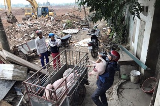 Cận cảnh người dân hối hả dỡ nhà, chặt cây nhường đất làm đường đua F1