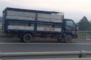 Xe tải chạy ngược chiều cao tốc Nội Bài - Lào Cai bị phạt 7,5 triệu đồng