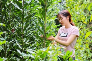 Nữ tỷ phú 9X truyền cảm hứng với hành trình khởi nghiệp từ cây mắc ca