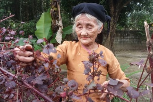 Hiệu ứng tích cực, nhân văn từ cụ bà 83 tuổi xin thoát nghèo