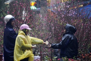 Miền Bắc đón Tết Nguyên đán trong mưa rét 