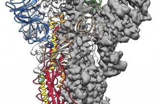 Bước đột phá trong nghiên cứu điều chế vắc-xin Covid-19 tại Mỹ
