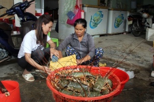 Sự thật về giá tôm hùm ở Phú Yên chỉ 200.000 đồng/kg