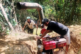 Xâm nhập mặn ở vựa lúa số 1 Việt Nam có thể tăng trong tuần tới