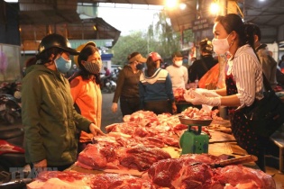 Giá thịt lợn hơi ở nhiều địa phương đột ngột tăng mạnh trở lại