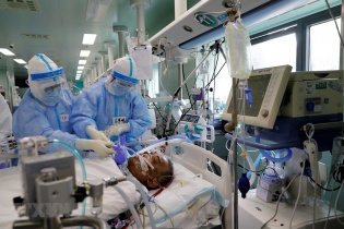 Hơn 10.000 ca tử vong ở châu Á, châu Phi có thể tới 190.000 người chết