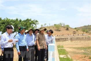 Tìm giải pháp ứng phó với hạn hán nặng nề tại Bình Thuận