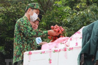Tạo điều kiện thuận lợi nhất cho xuất khẩu vải quả tươi