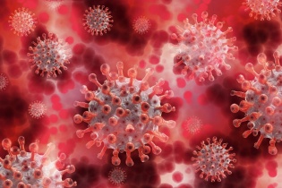 Nhật Bản phát hiện khí ozone có thể vô hiệu hóa virus SARS-CoV-2