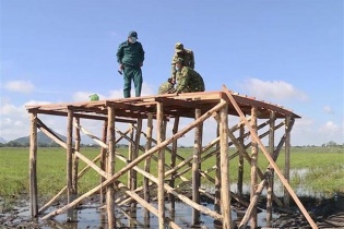 Việt Nam không có ca mắc COVID-19 mới, 805 ca đã được điều trị khỏi