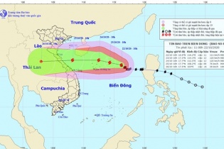 Dự báo bão số 8 có thể vào khu vực Quảng Bình-Quảng Trị