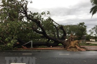 Hoàn lưu bão số 13 gây gió giật cấp 11 tại đảo Cồn Cỏ và TT-Huế