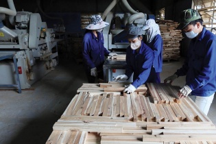 Sức bật từ những ngành hàng tỷ USD