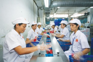 Vissan: Đối mặt với thách thức vì chậm thay đổi